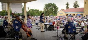 Shot of the crowd at the City Park Jazz concerts.