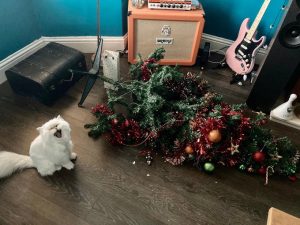 cat christmas tree