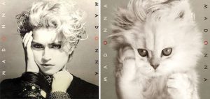 Kitten album covers